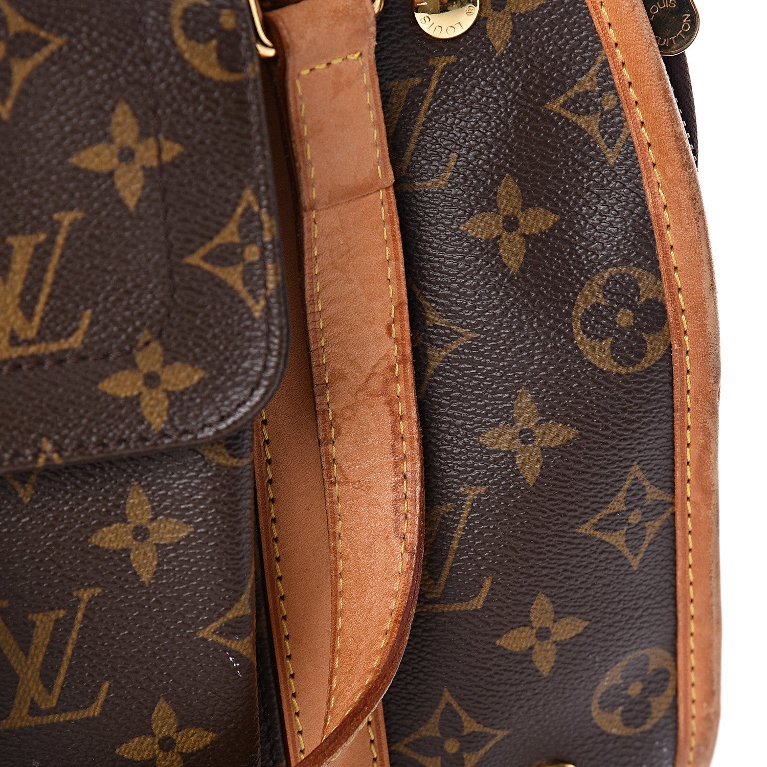 Louis Vuitton Monogram Baxter PM Dog Pet Carrier 7 of 11