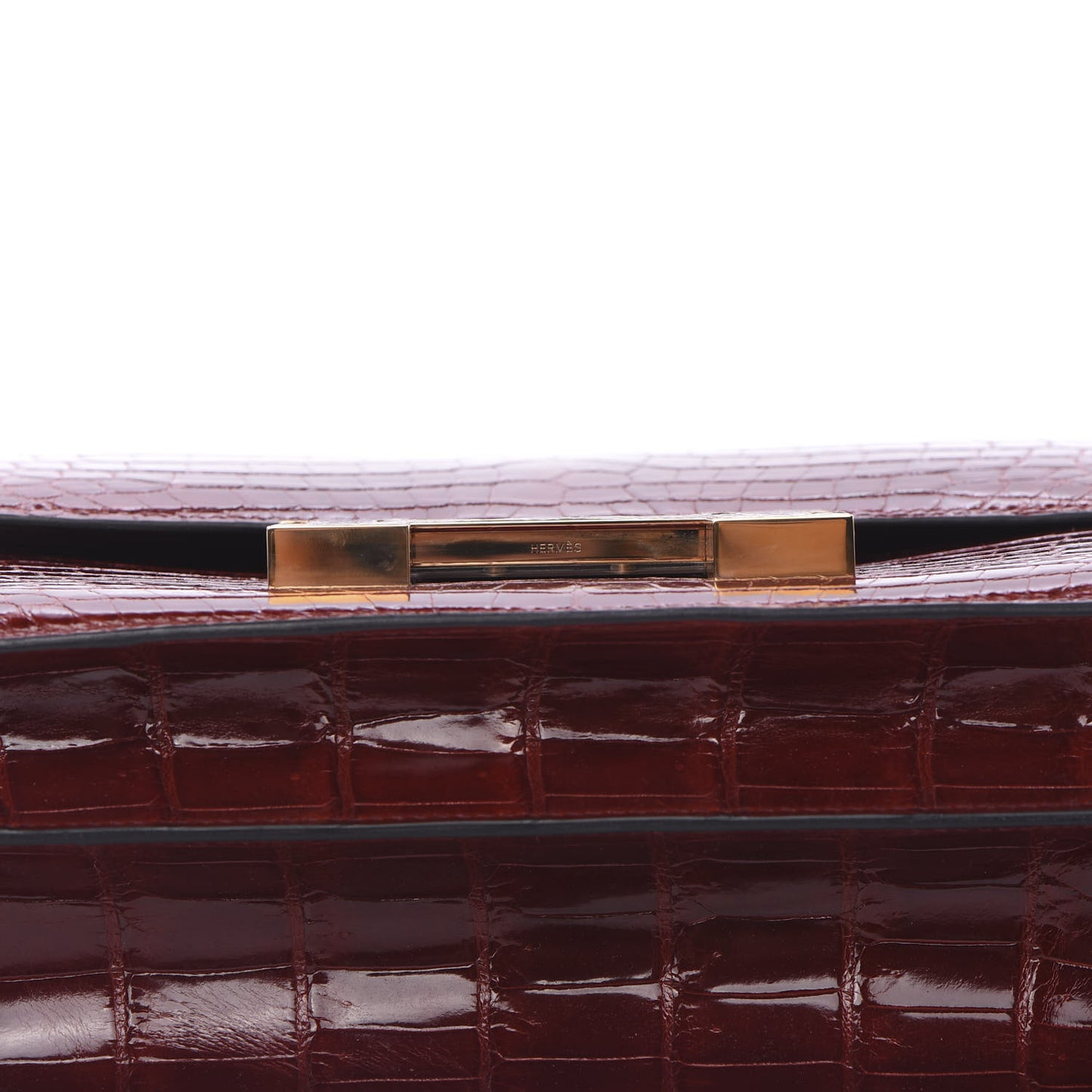 Shiny Niloticus Crocodile Lizard Marquette Constance 24 Rouge H
