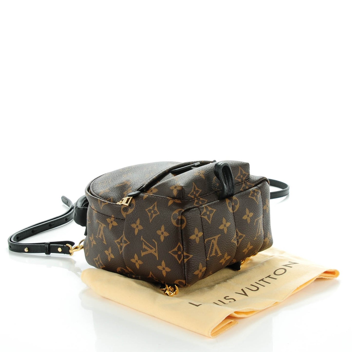 Monogram Palm Springs Backpack Mini