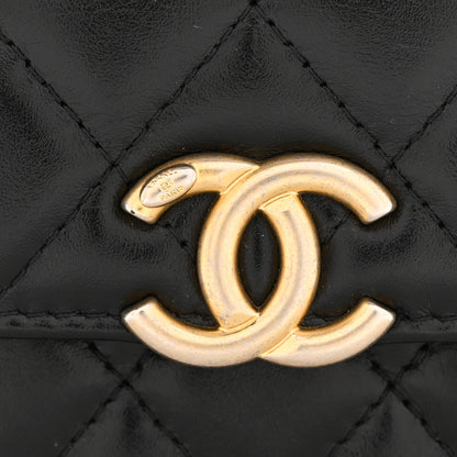 Chanel Calfskin Quilted Perfect Fit Coin Purse With Chain Black 9 of 13