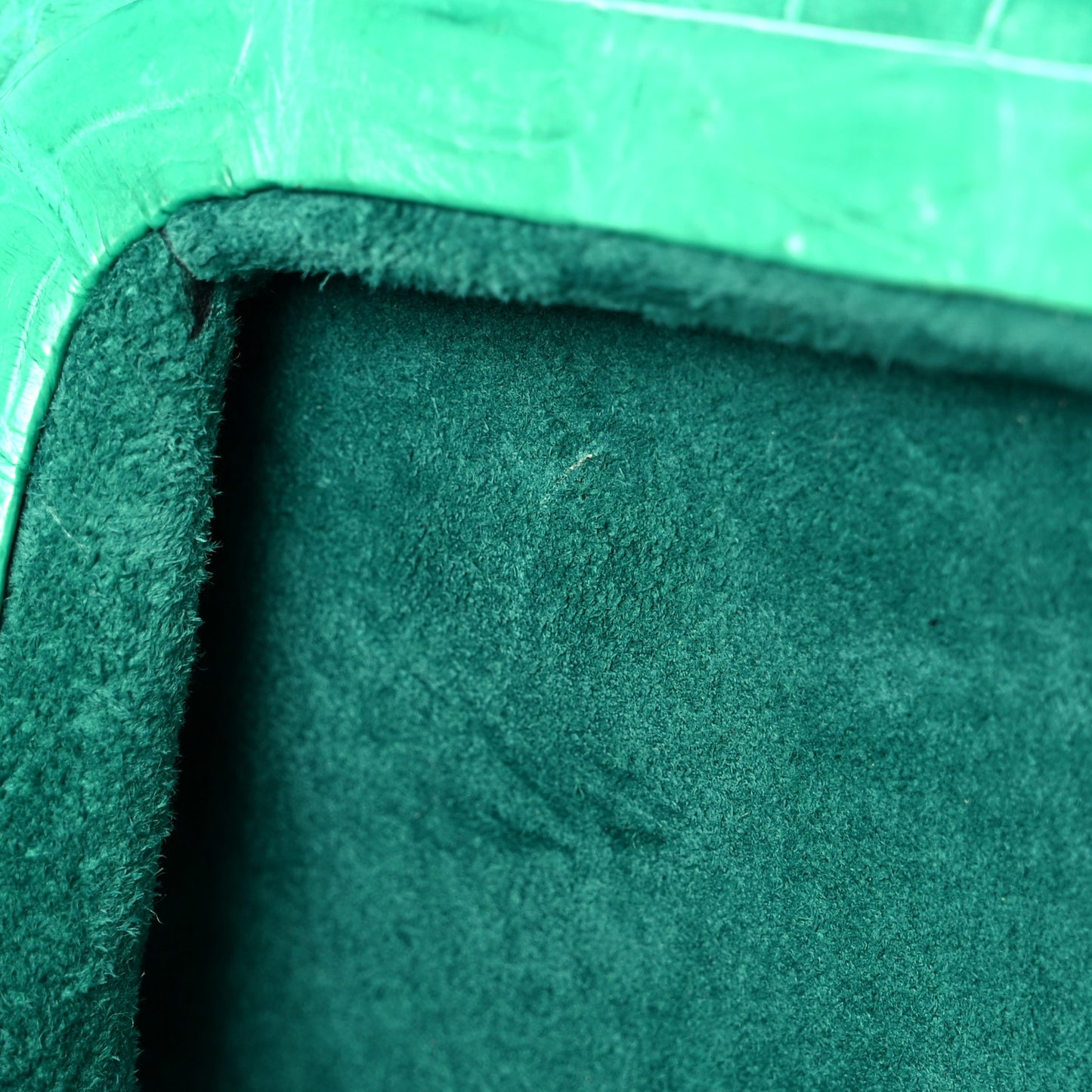 Crocodile Kisslock Clutch Green