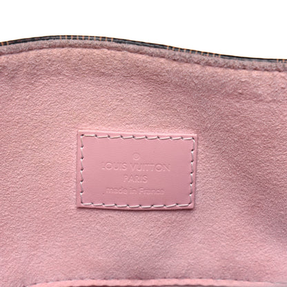 Louis Vuitton Damier Ebene Caissa Hobo Rose Ballerine 6 of 19