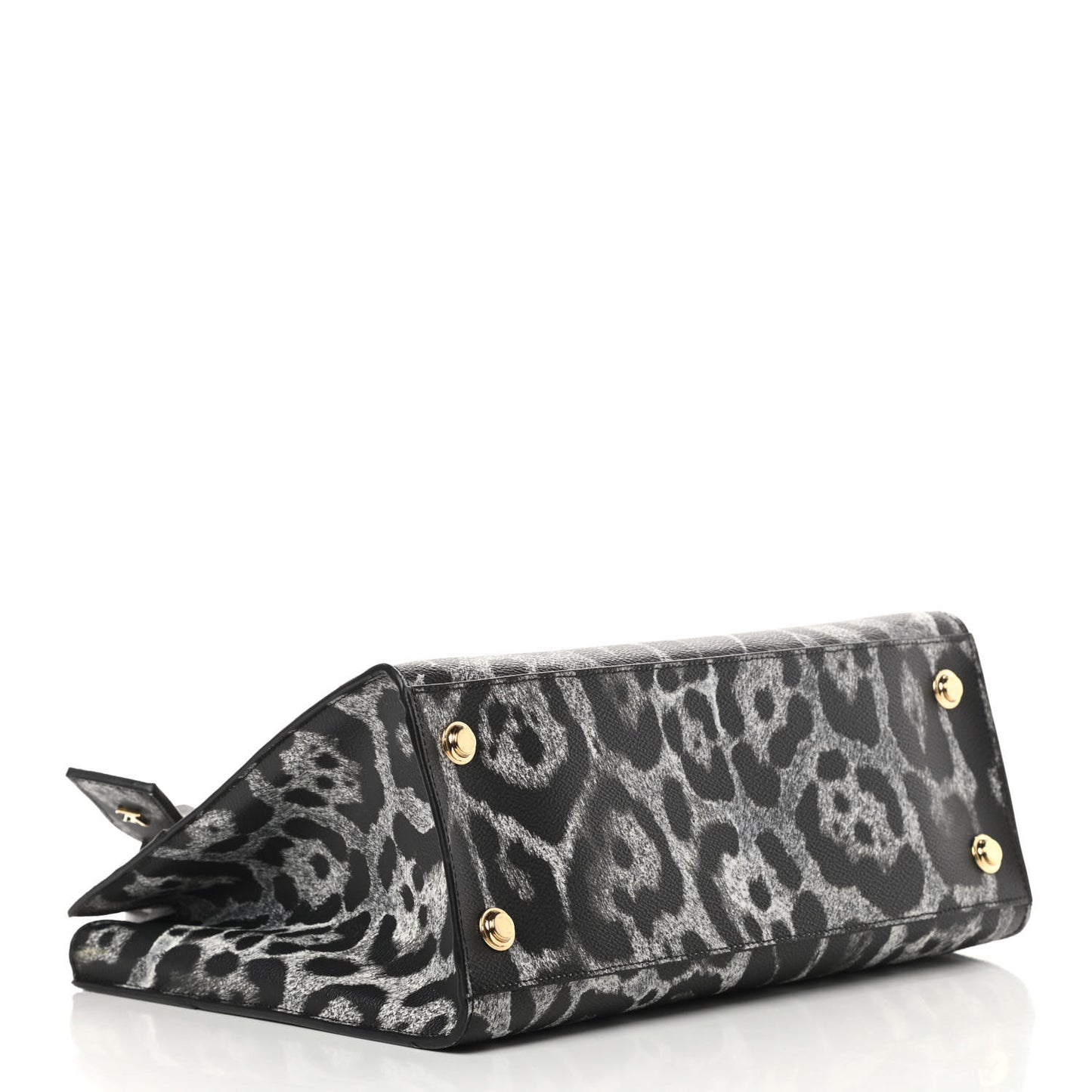 Canvas Calfskin Wild Animal Print City Steamer MM Black
