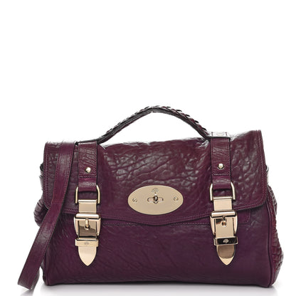 Mulberry Large Grain Nappa Medium Alexa Eggplant 1 of 12