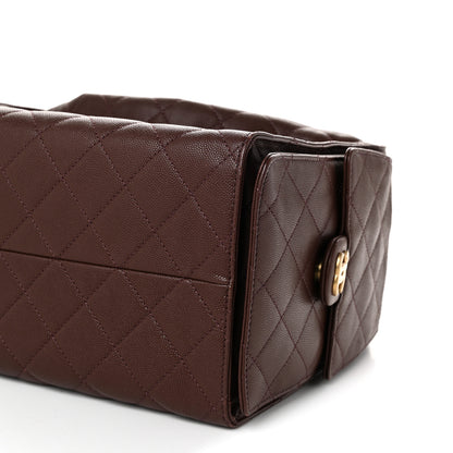 Chanel Caviar Quilted Medium Chanel 25 Handbag Dark Brown 11 of 12