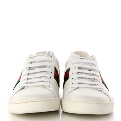 Gucci Calfskin Ayers Bee Embroidered Womens Ace Sneakers 41.5 White Green 2 of 9