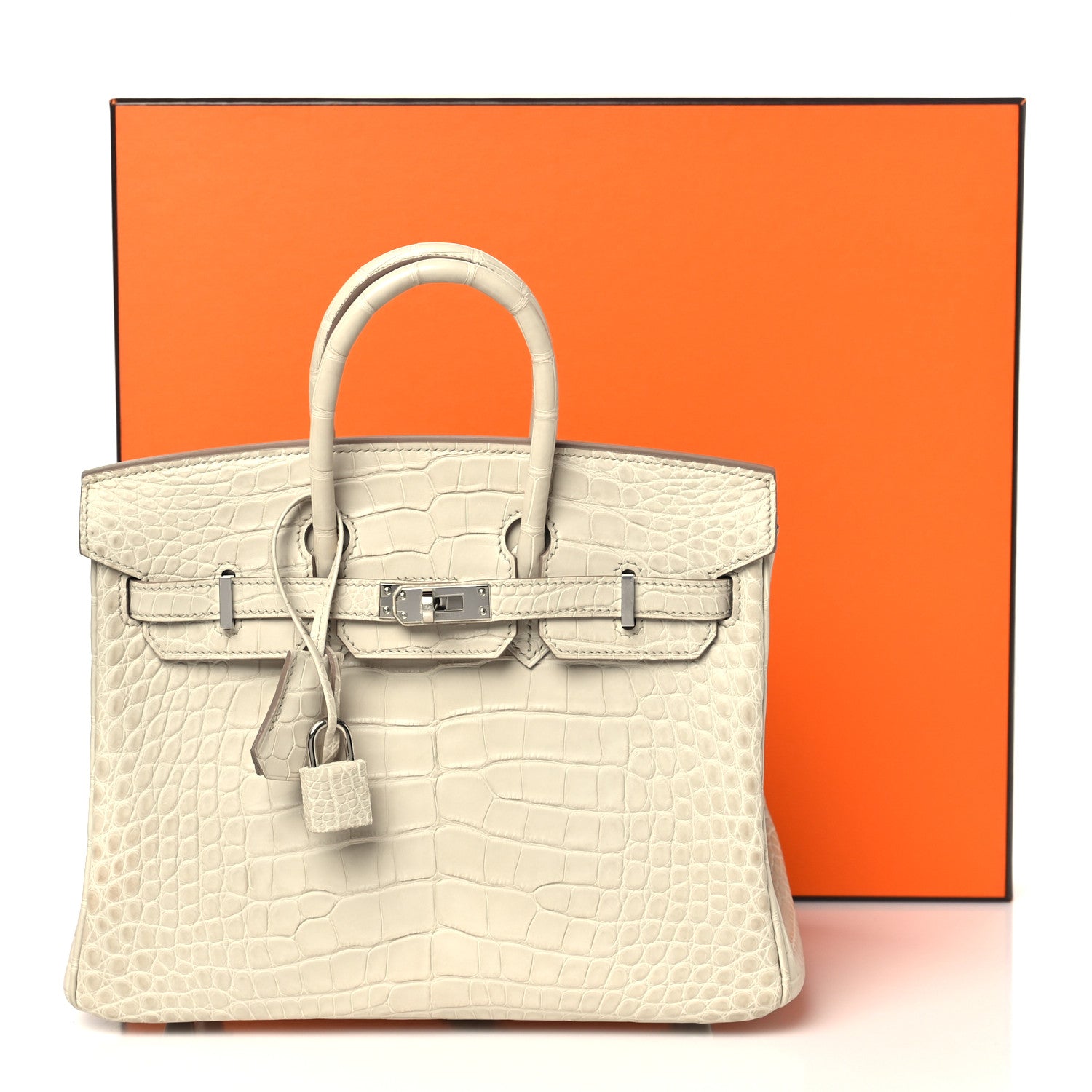 Hermes Matte Alligator Birkin 25 Beton 10 of 10