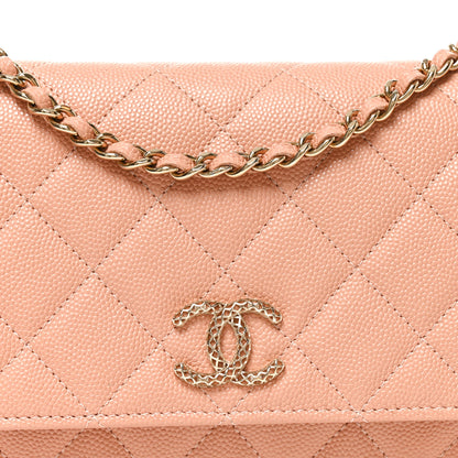 Chanel Caviar Quilted Perforated Metal CC Wallet On Chain WOC Beige 9 of 11