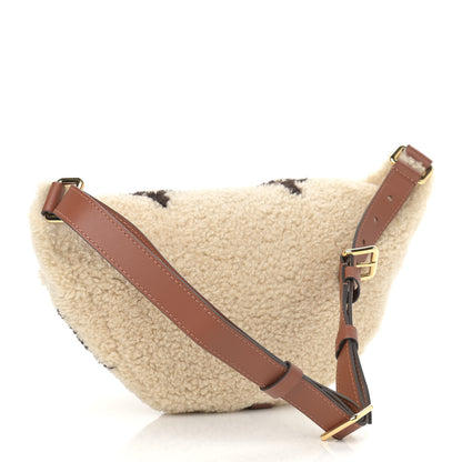 Louis Vuitton Monogram Teddy Bumbag 3 of 8