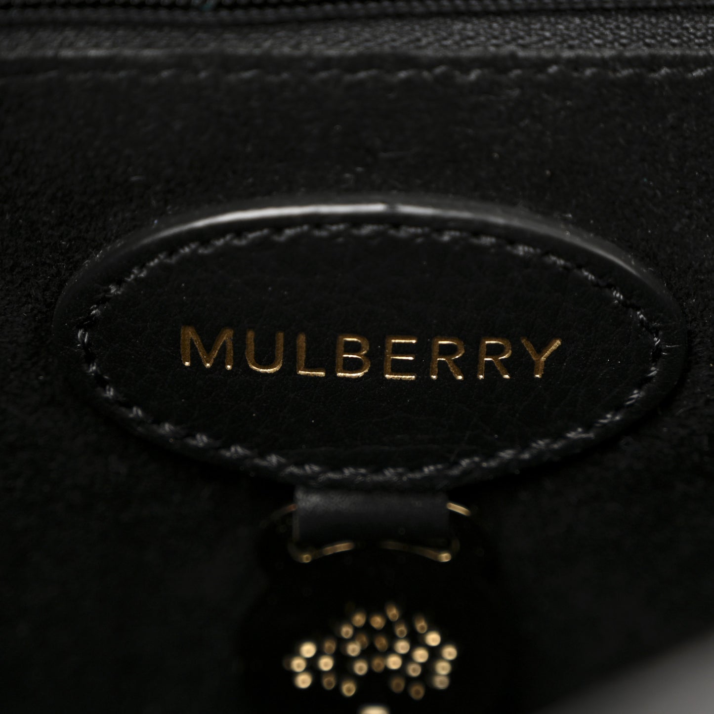 Snakeskin Small Lily Flap Navy