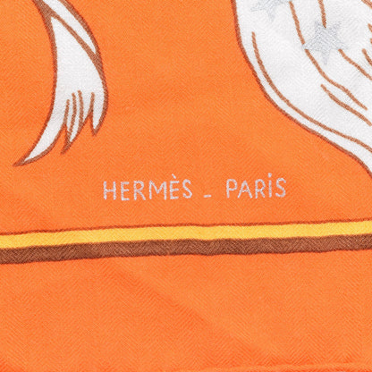 Hermes Cashmere Silk Hemisphaerium Coeli Boreale Shawl 140 4 of 5