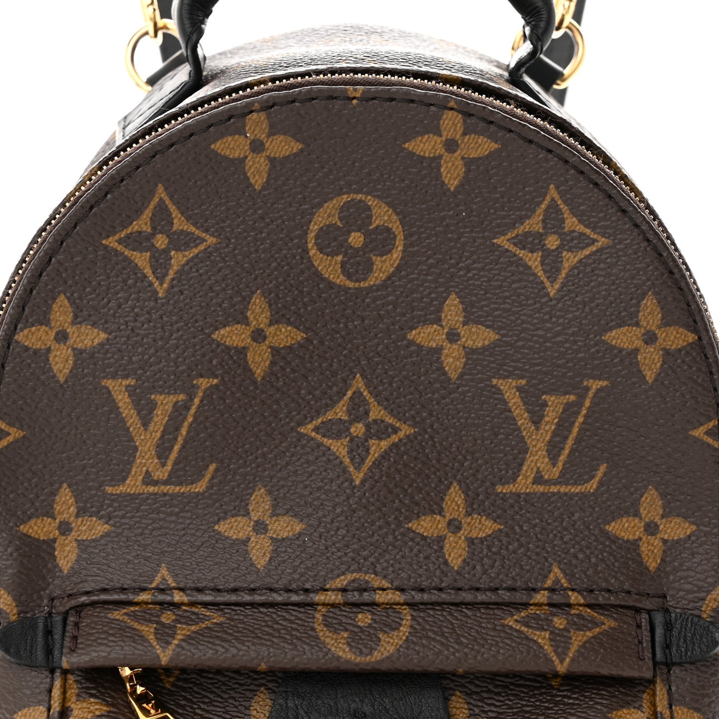 Monogram Palm Springs Backpack Mini