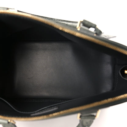 Louis Vuitton Ostrich Alma PM 5 of 8