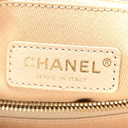 Chanel Iridescent Caviar Quilted Small Coco Handle Flap White 7 of 9
