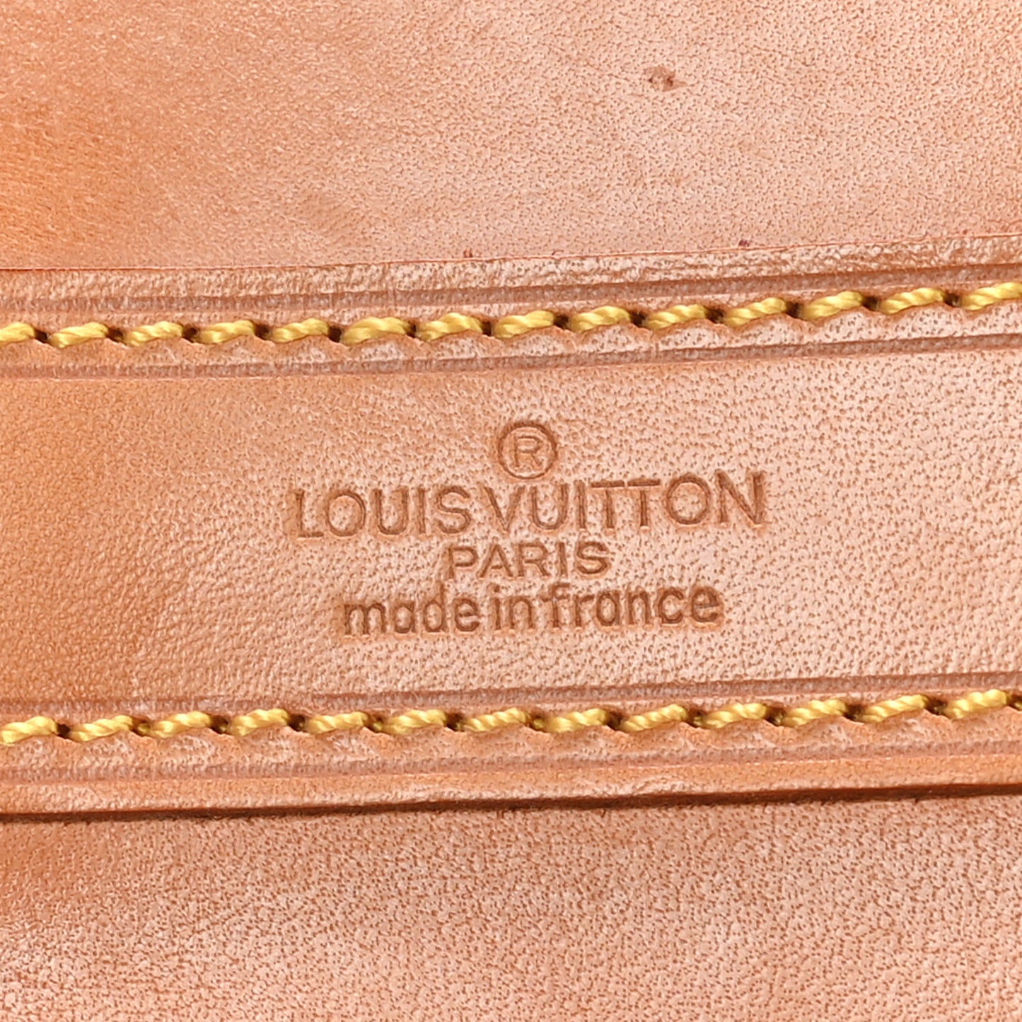 Monogram Randonnee GM Backpack