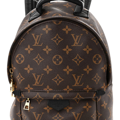 Louis Vuitton Monogram Palm Springs Backpack PM 8 of 12
