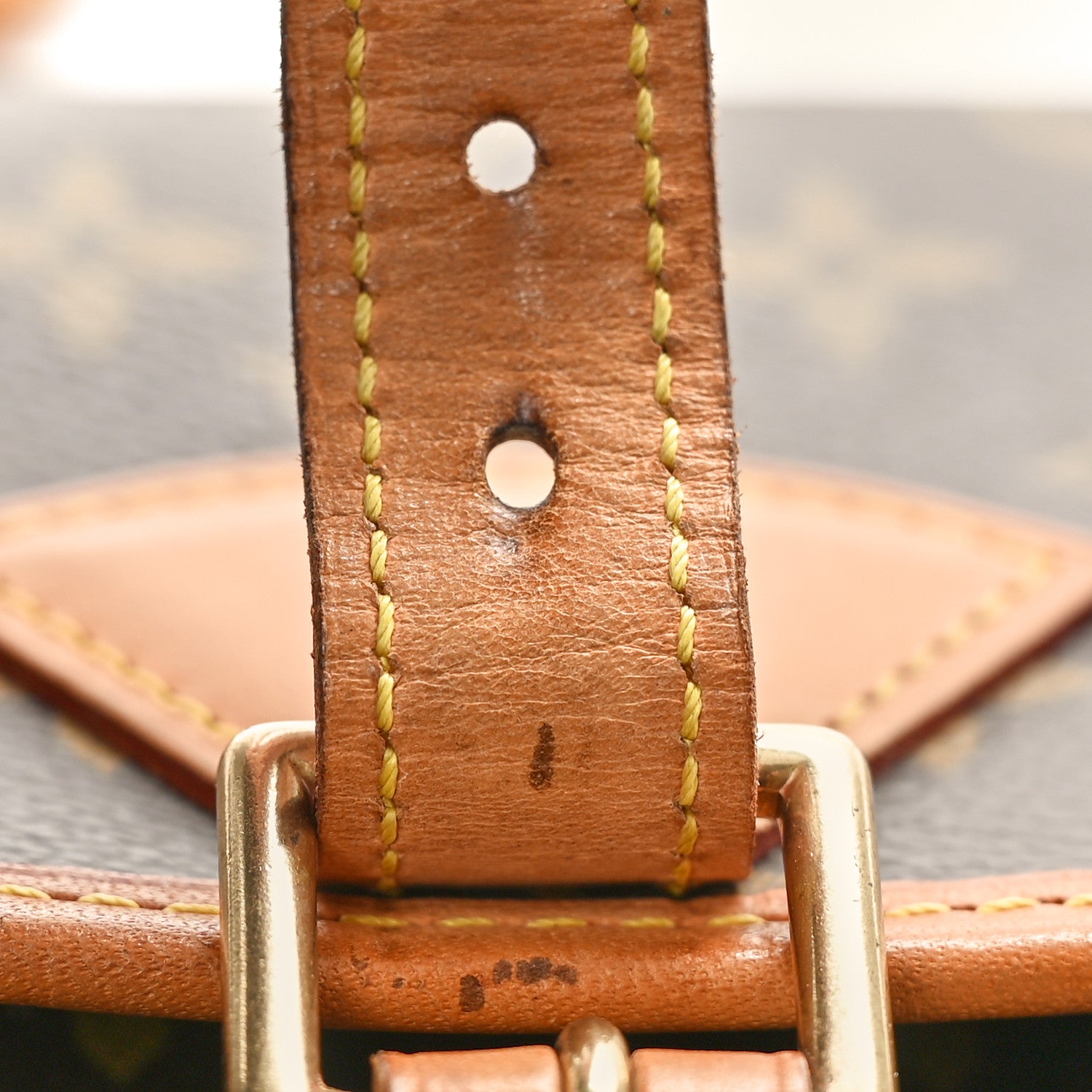 Louis Vuitton Monogram Sologne 10 of 11