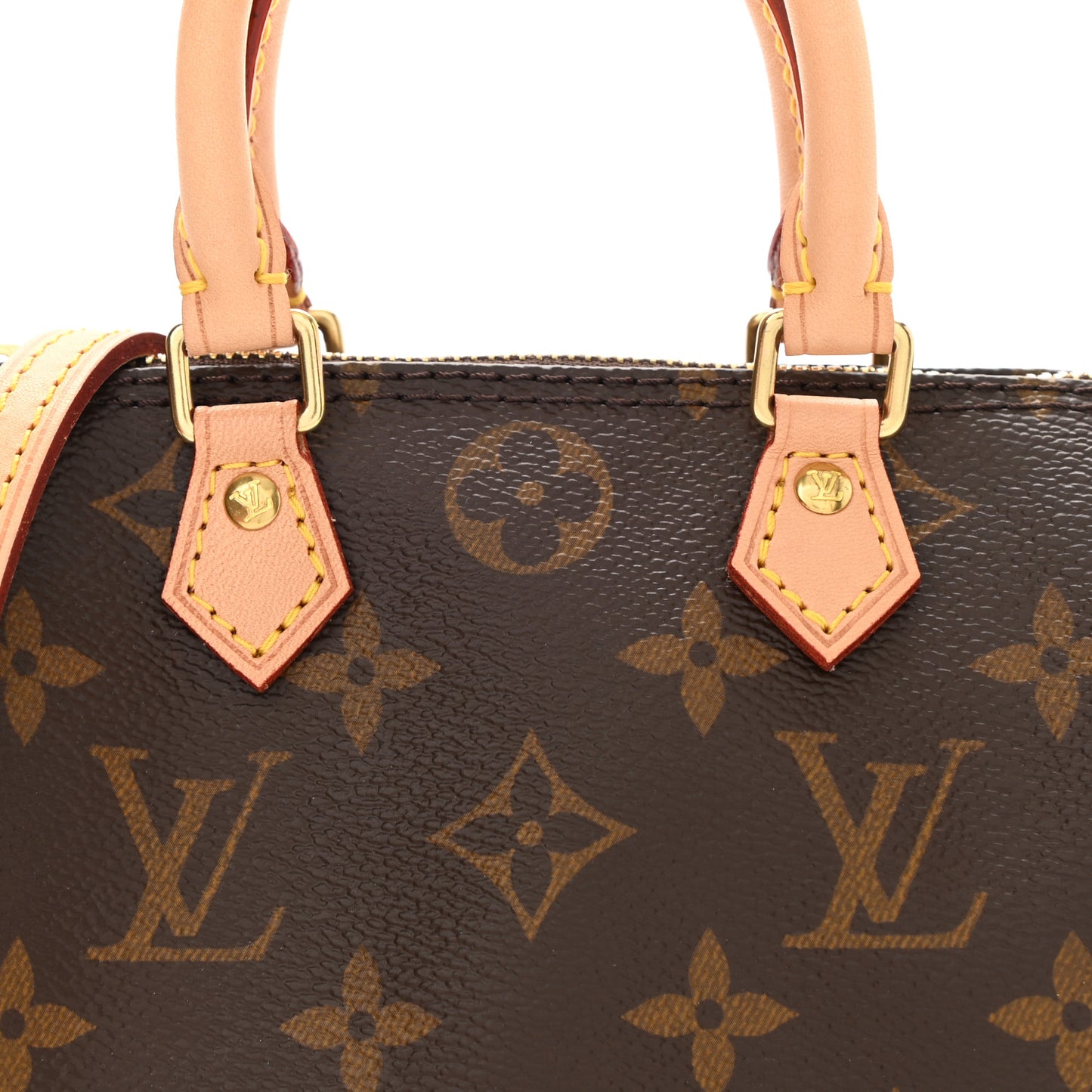 Monogram Nano Speedy