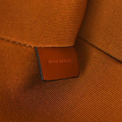 Celine Triomphe Canvas Small Camera Shoulder Bag Tan 7 of 10