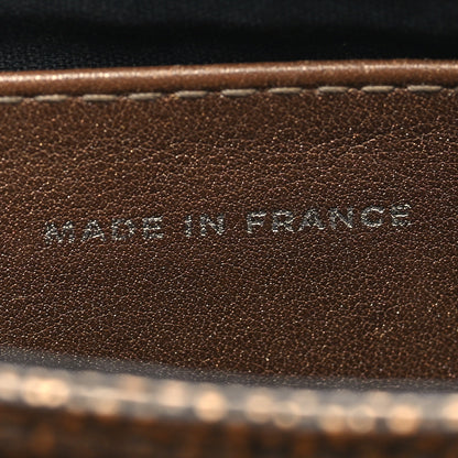 Chanel Metallic Caviar Half Moon Wallet On Chain WOC Bronze 7 of 15
