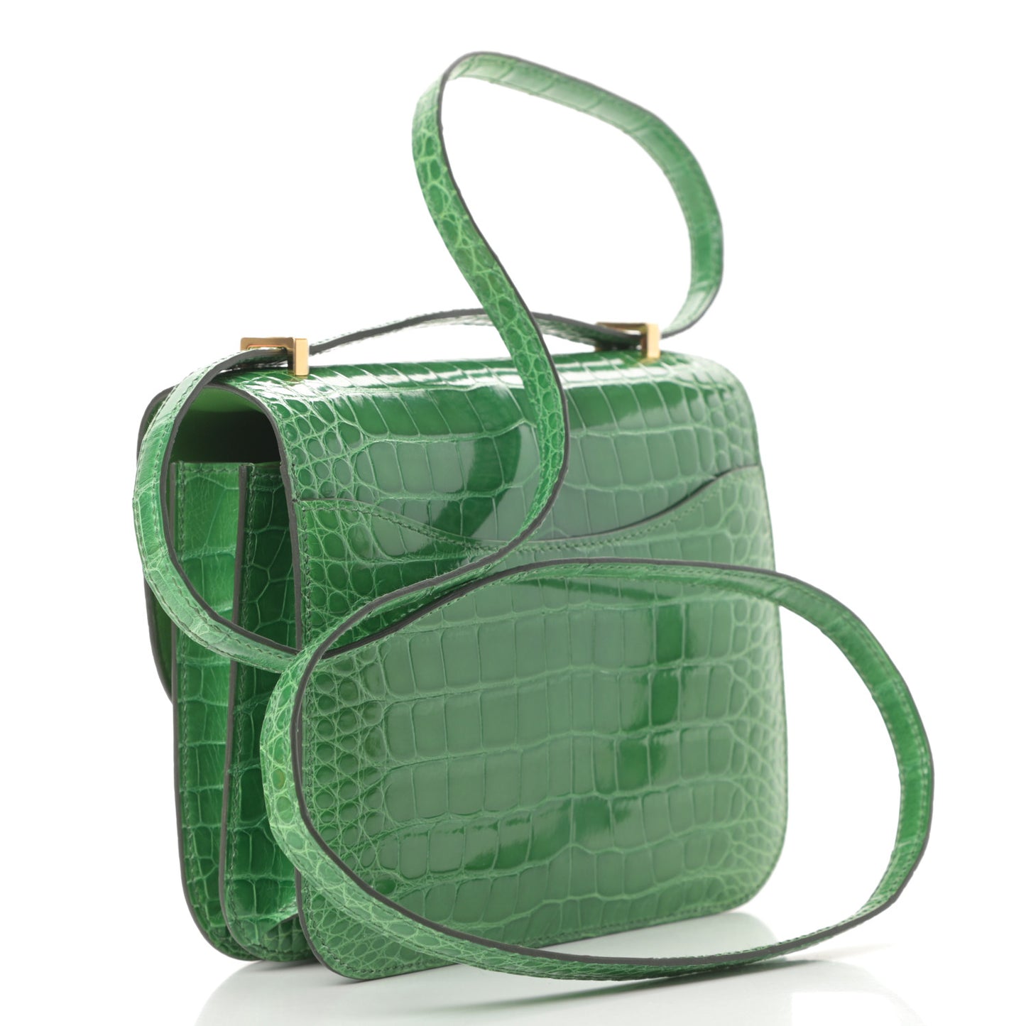 Shiny Alligator Constance 18 Cactus