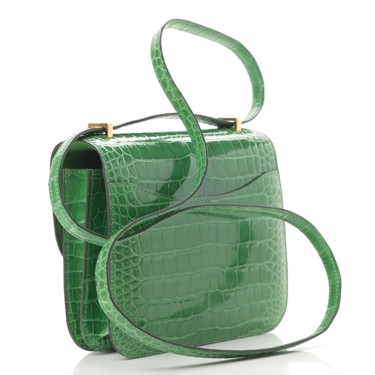 Hermes Shiny Alligator Constance 18 Cactus 3 of 21