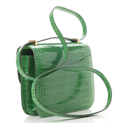 Hermes Shiny Alligator Constance 18 Cactus 3 of 21
