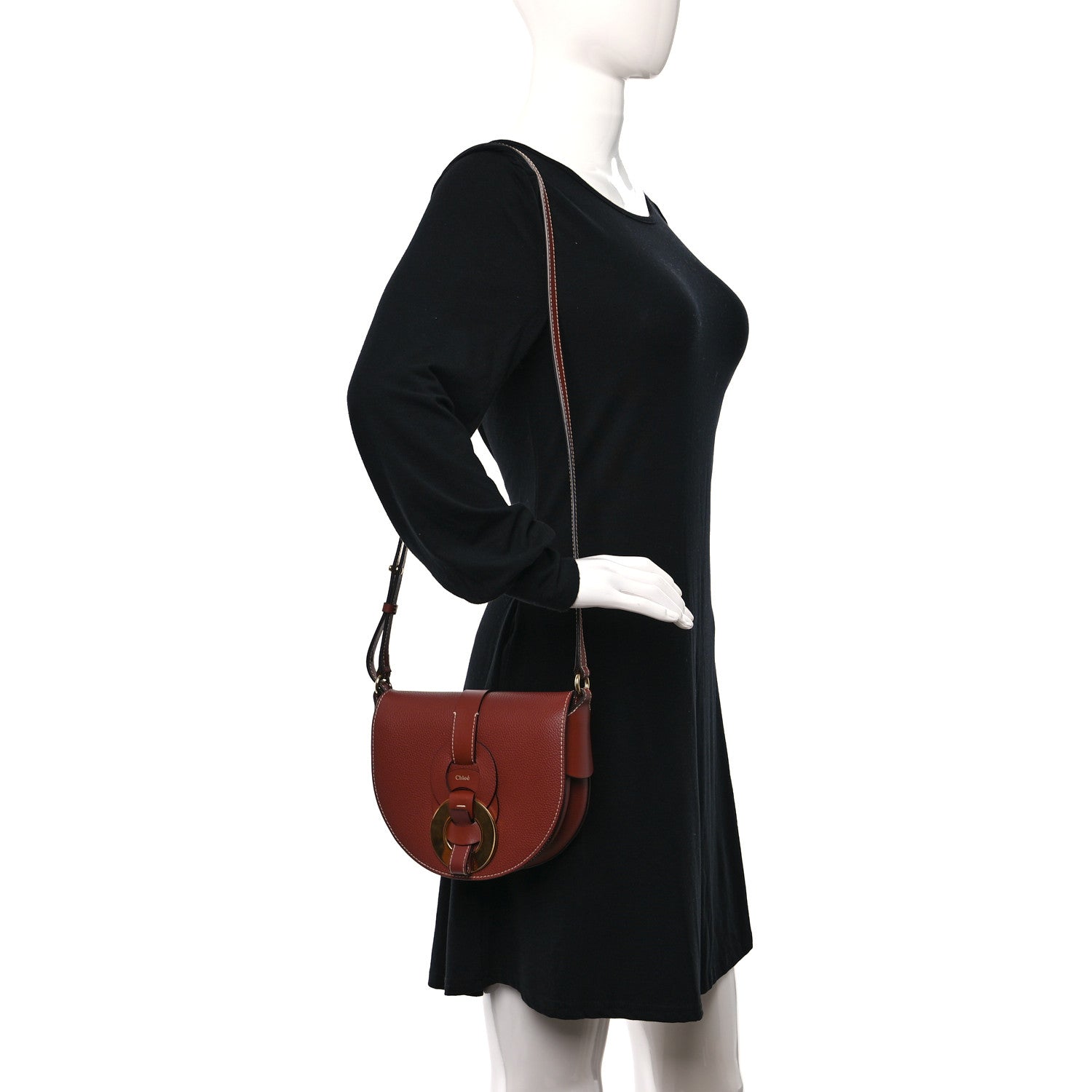 Chloe Grained Calfskin Small Darryl Saddle Crossbody Bag Sepia Brown 3 of 9