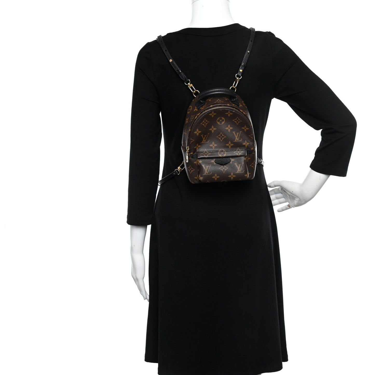 Monogram Palm Springs Backpack Mini