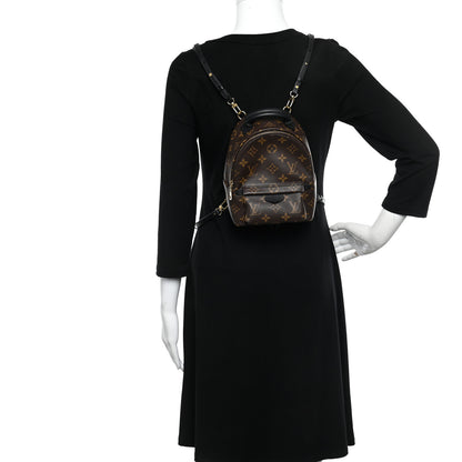 Louis Vuitton Monogram Palm Springs Backpack Mini 2 of 12