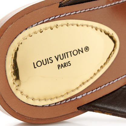 Louis Vuitton Monogram Sunny Flat Thong Sandals 40 Brown 7 of 8
