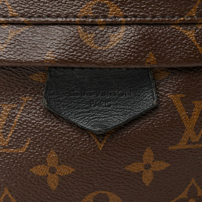 Louis Vuitton Monogram Palm Springs Backpack MM 13 of 17