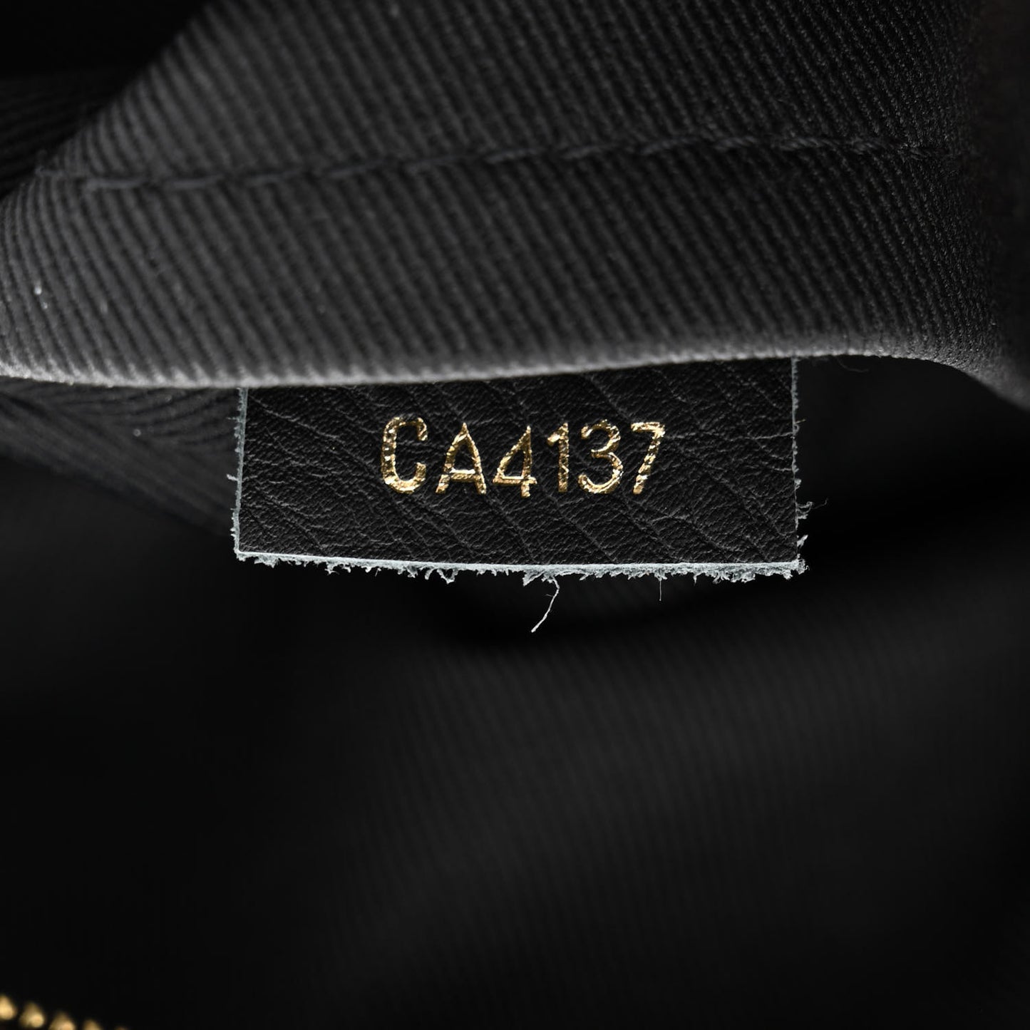 Monogram Palm Springs Backpack Mini