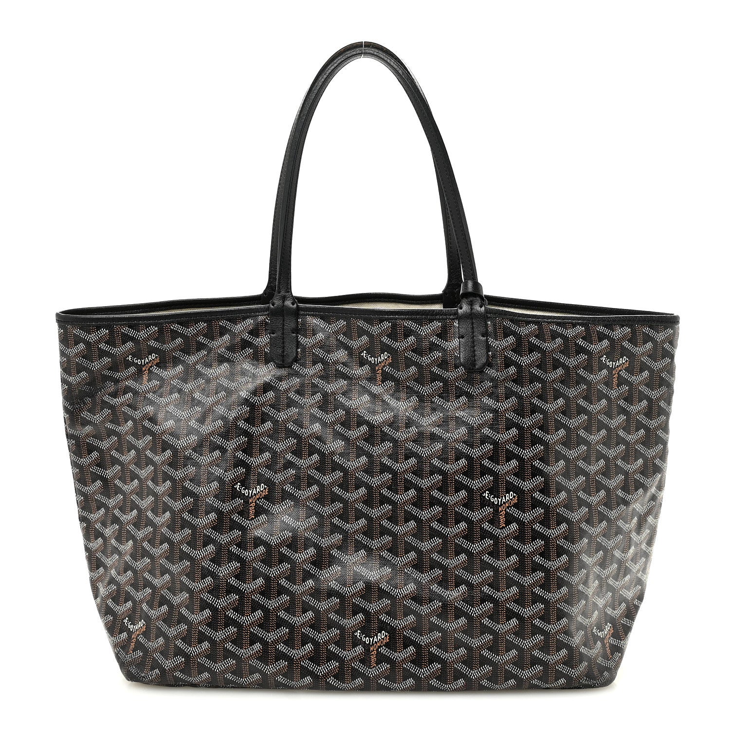 Goyard Goyardine Saint Louis PM Black 1 of 9