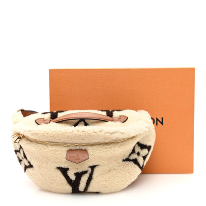 Louis Vuitton Monogram Teddy Bumbag 10 of 10