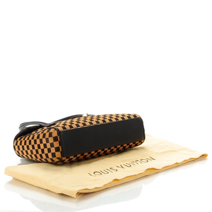 Louis Vuitton Damier Calf Hair Sauvage Lionne 4 of 7