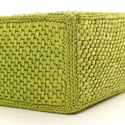 Loewe Raffia Small Paula Ibiza Logo Tote Meadow Green 9 of 10