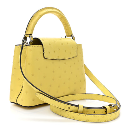 Louis Vuitton Ostrich Capucines Mini Yellow 3 of 11