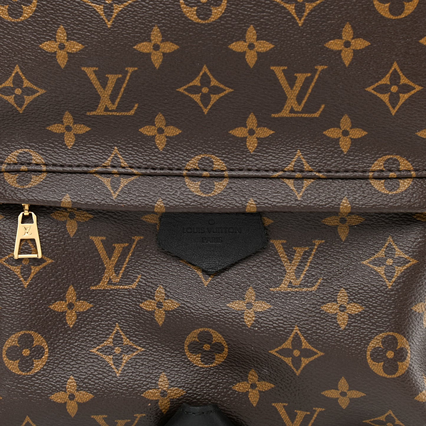 Monogram Palm Springs Backpack MM