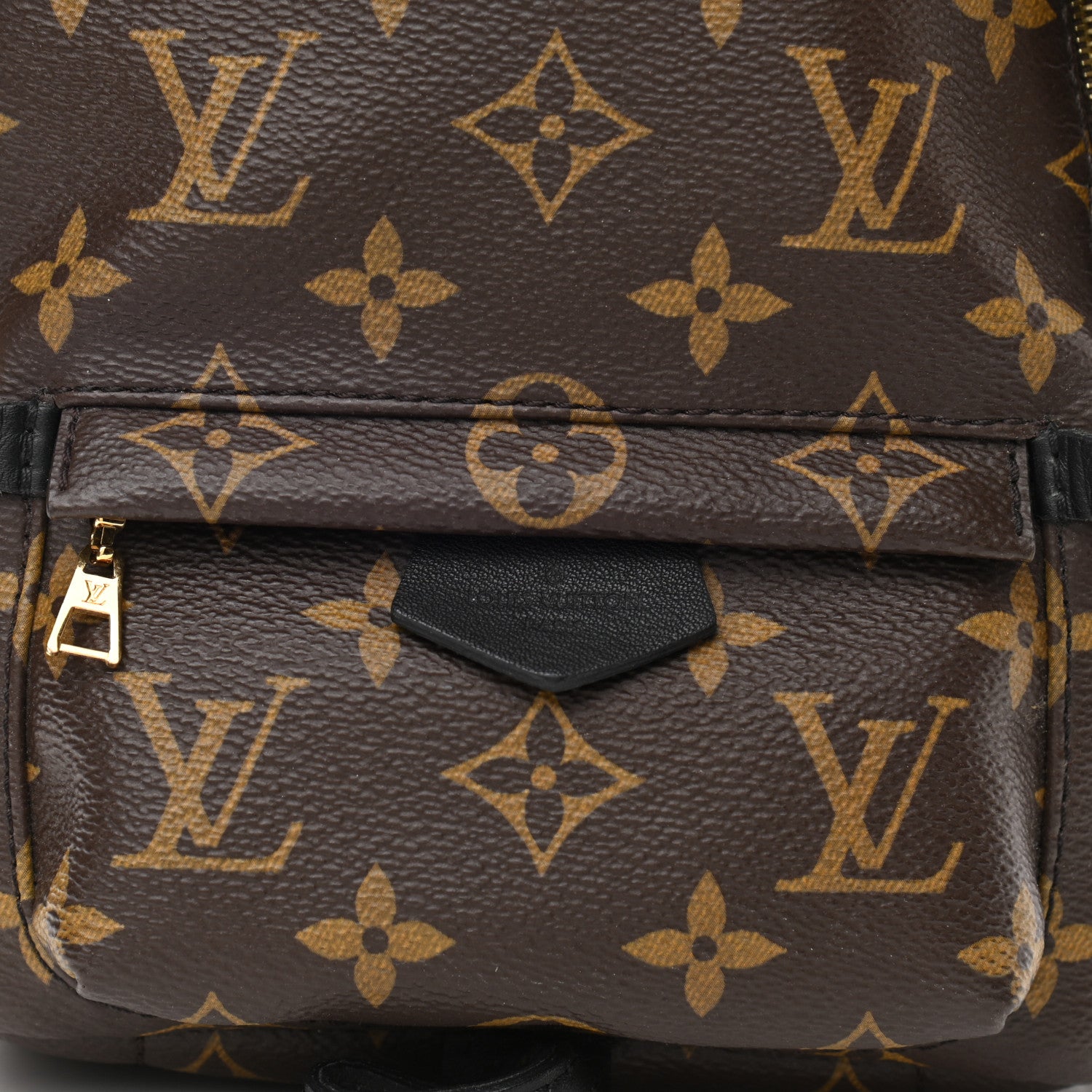 Louis Vuitton Monogram Palm Springs Backpack Mini 7 of 13