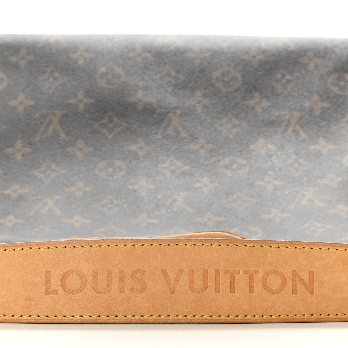 Monogram Delightful MM
