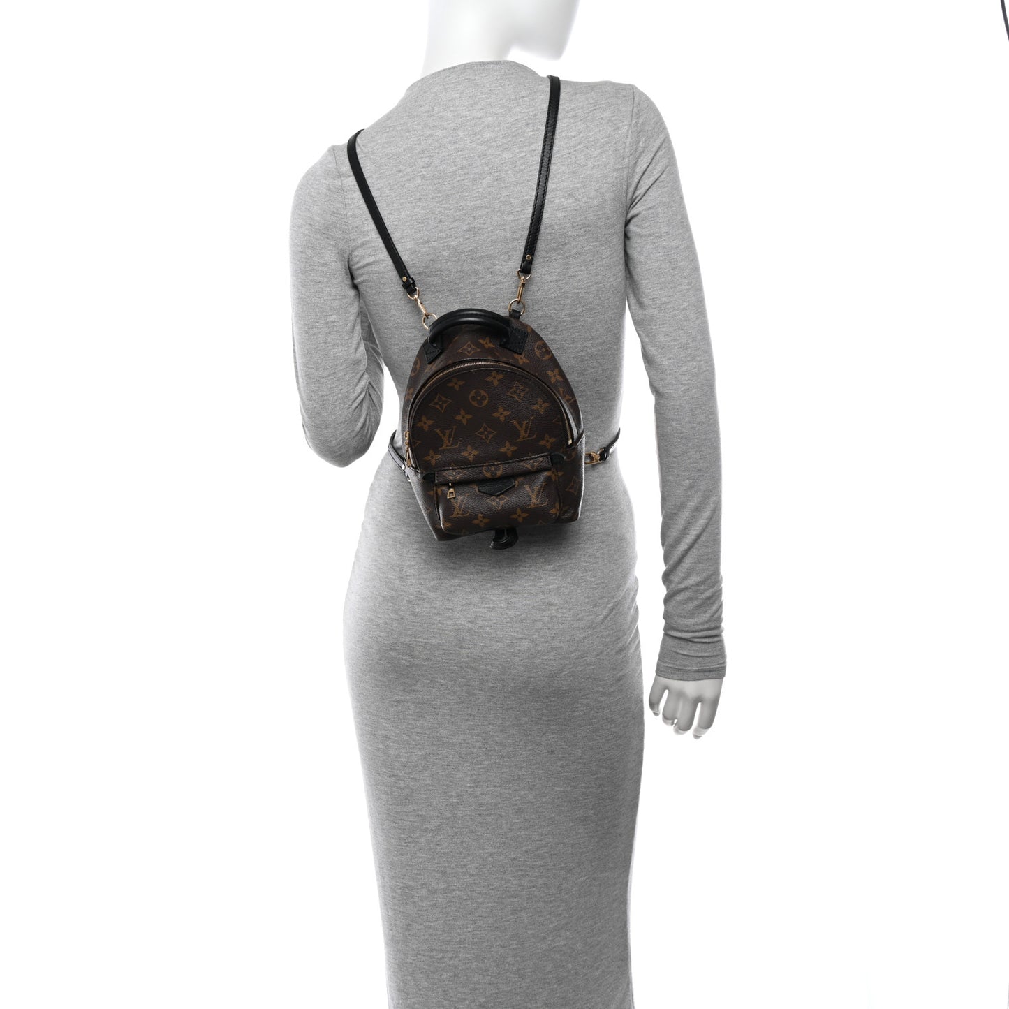 Monogram Palm Springs Backpack Mini