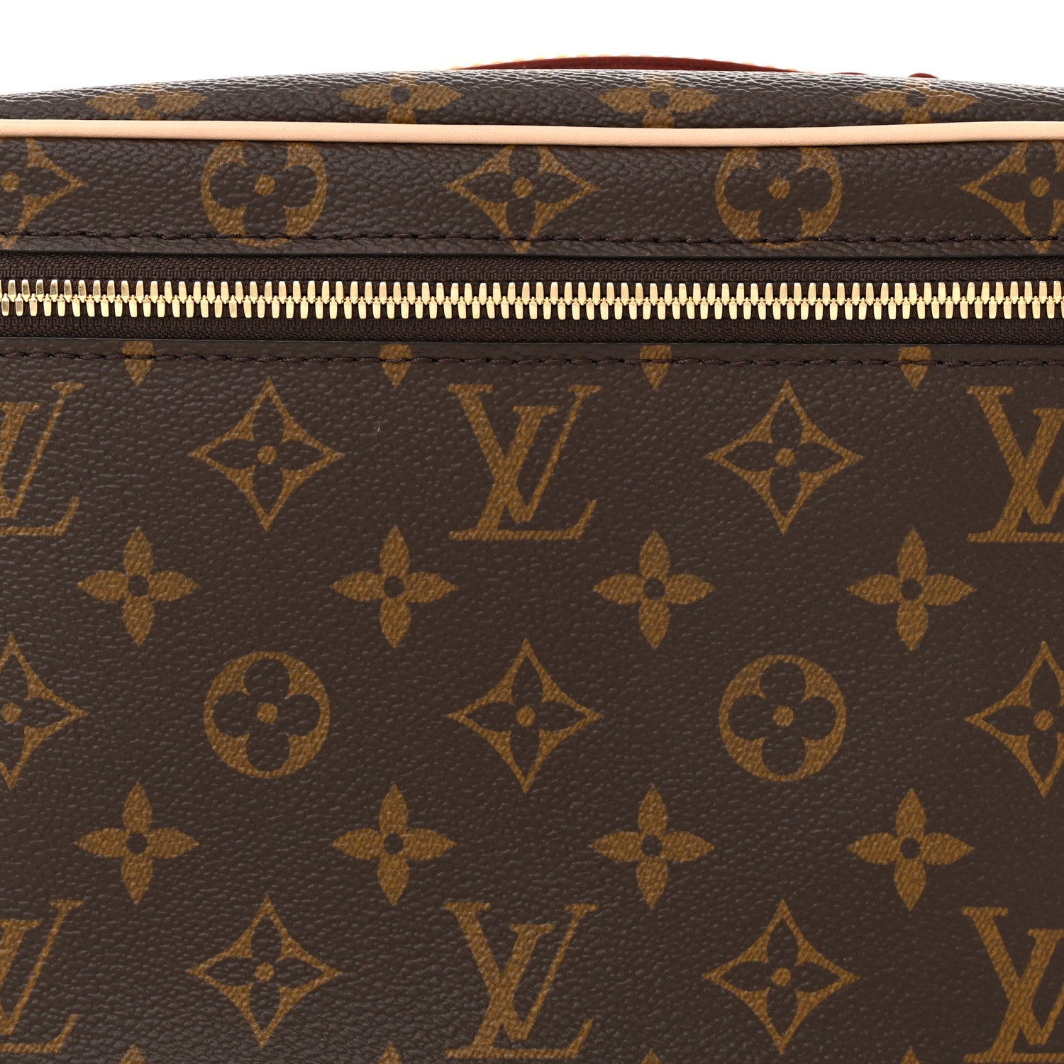 Louis Vuitton Monogram Nice BB 7 of 10