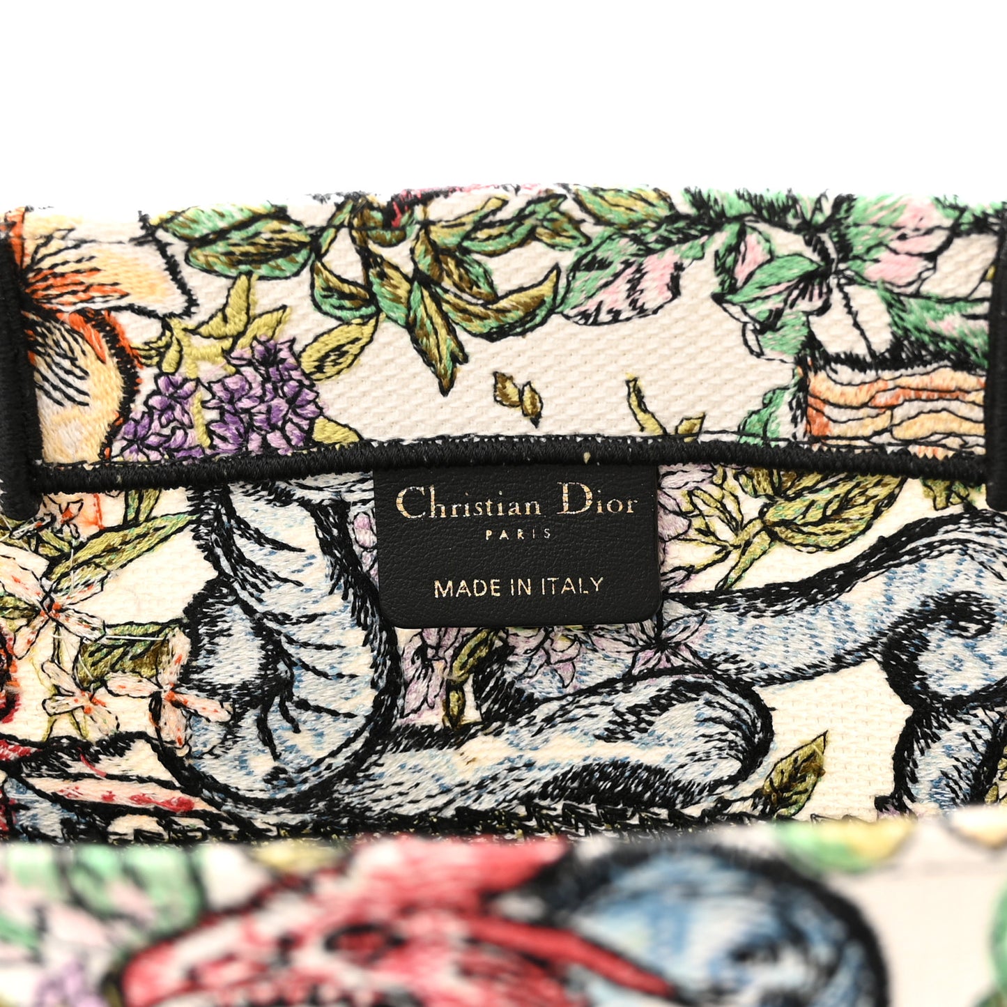 Canvas Embroidered Medium D-Constellation Book Tote Latte Multicolor