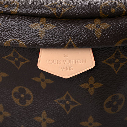 Louis Vuitton Monogram Bumbag 9 of 11