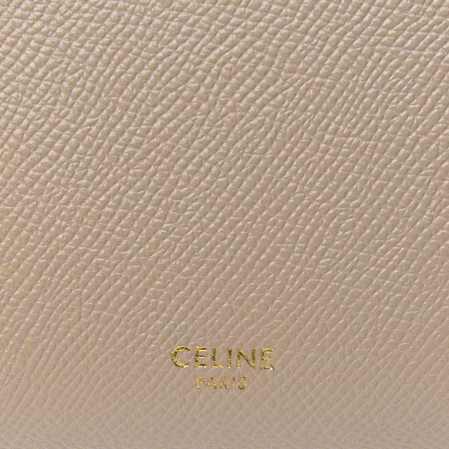 Grained Calfskin Micro Belt Bag Dune