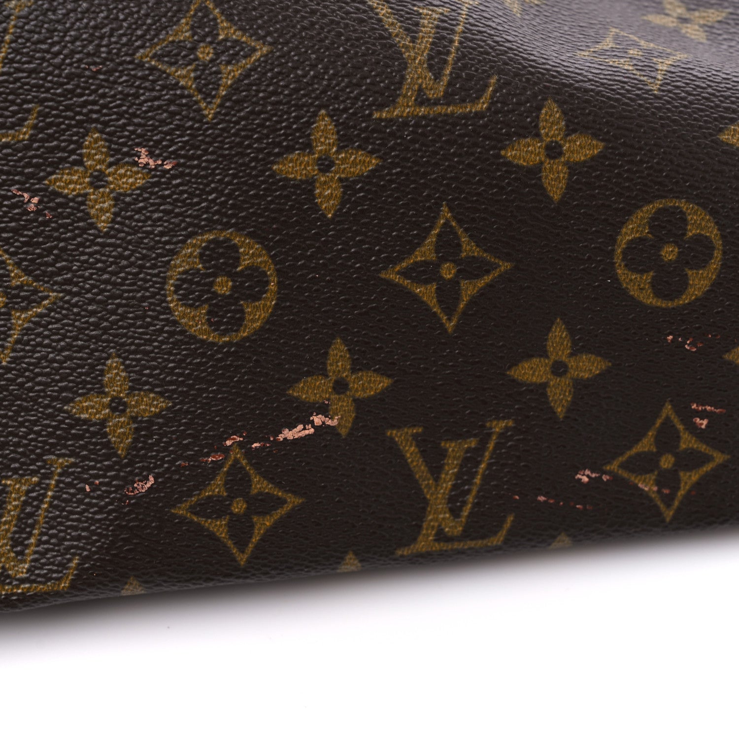 Louis Vuitton Monogram Garment Cover 2 Hangers 10 of 13