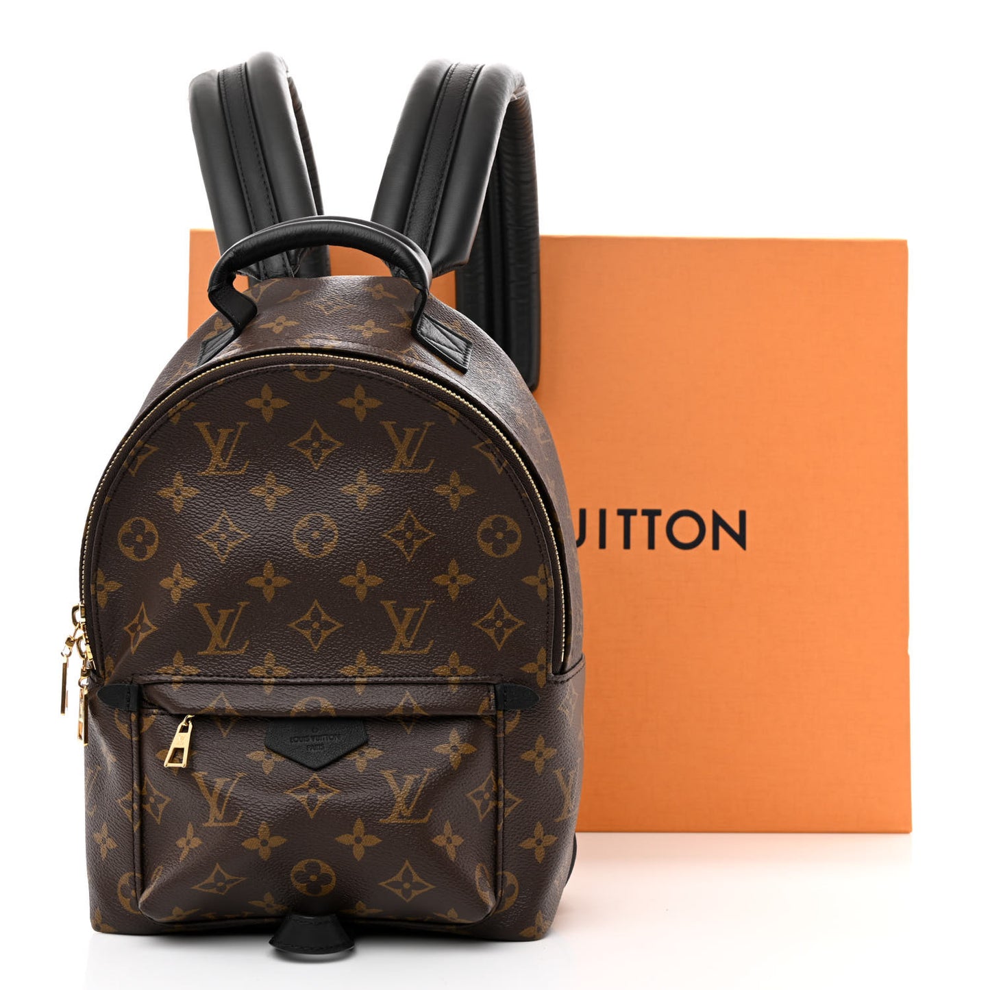 Monogram Palm Springs Backpack PM