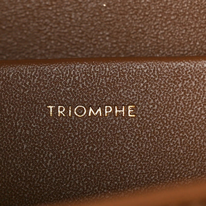 Celine Shiny Calfskin Medium Triomphe Bronze 6 of 11