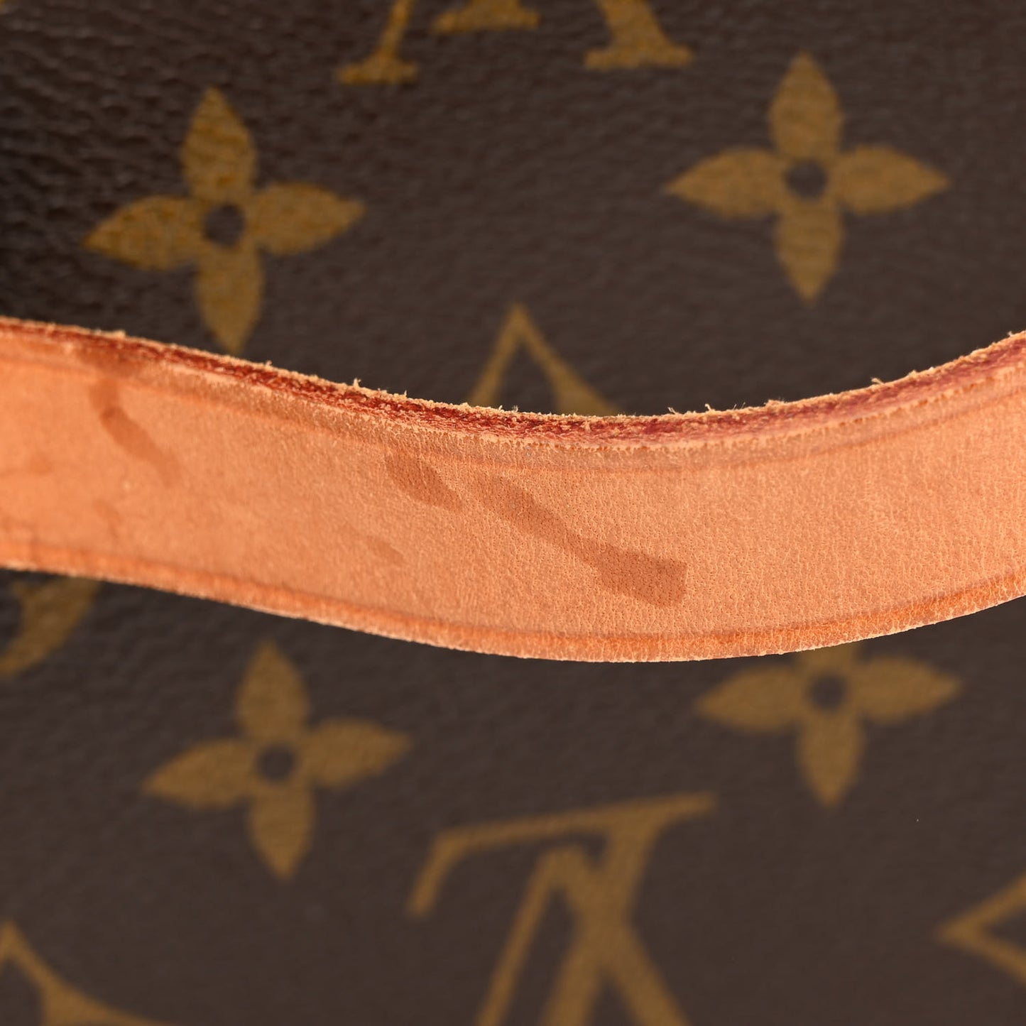 Monogram Cartouchiere 17